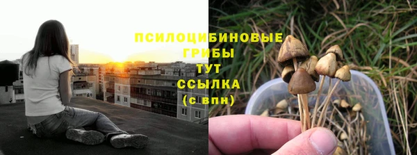 синтетический гашиш Киреевск